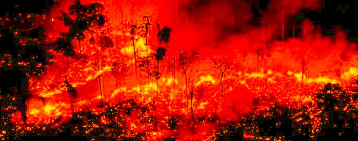 La deforestacin en la Amazona creci 70% bajo el gobierno de Bolsonaro