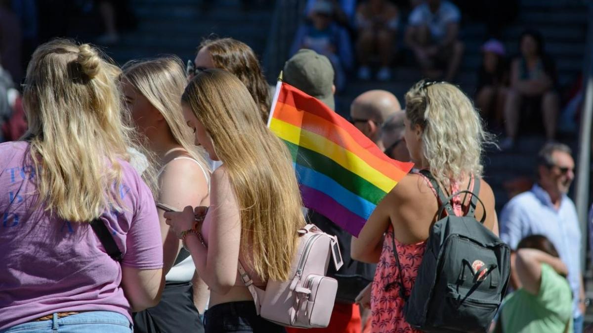 Manifestacin por el orgullo LGTBI+ (Pixabay)