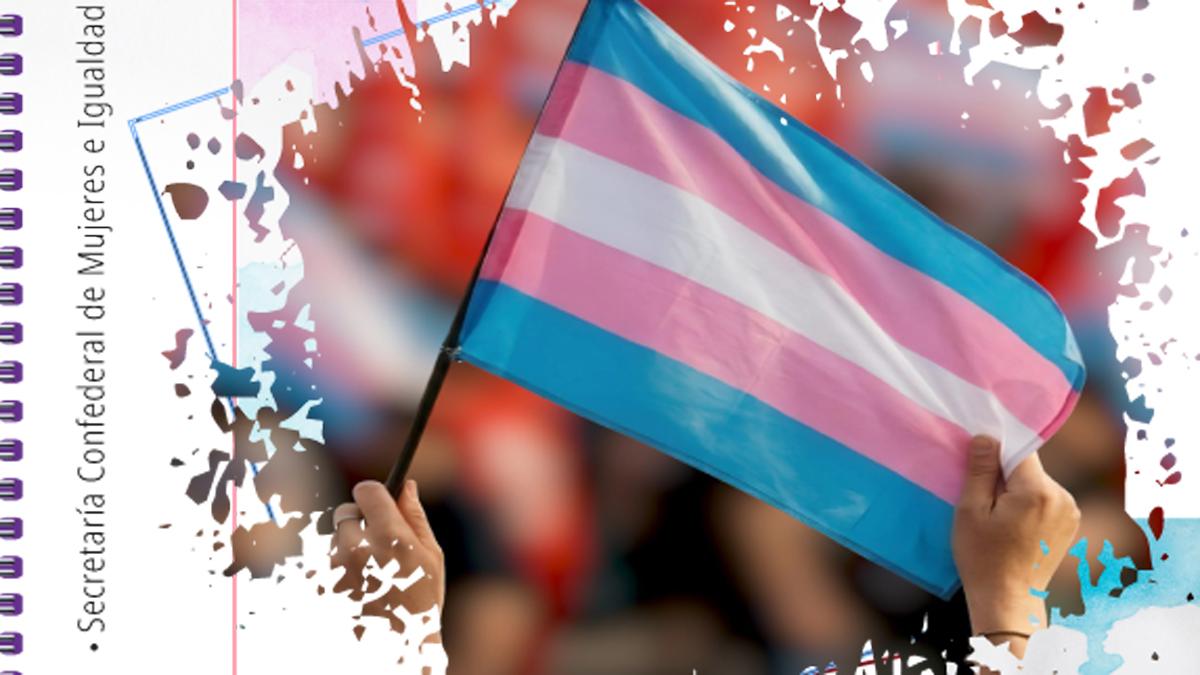 Guía sindical para no perderse en el diseño y funcionamiento del protocolo de acompañamiento de las personas trans en el ámbito de al empresa.