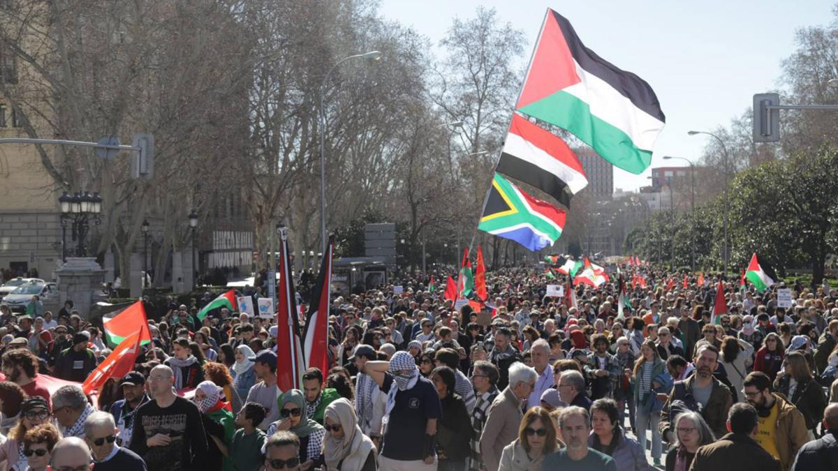 17 de febrero: Manifestacin contra el genocidio en Palestina en las calles de Madrid.