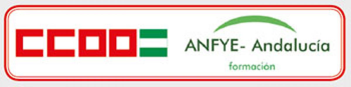 CCOO ANFYE