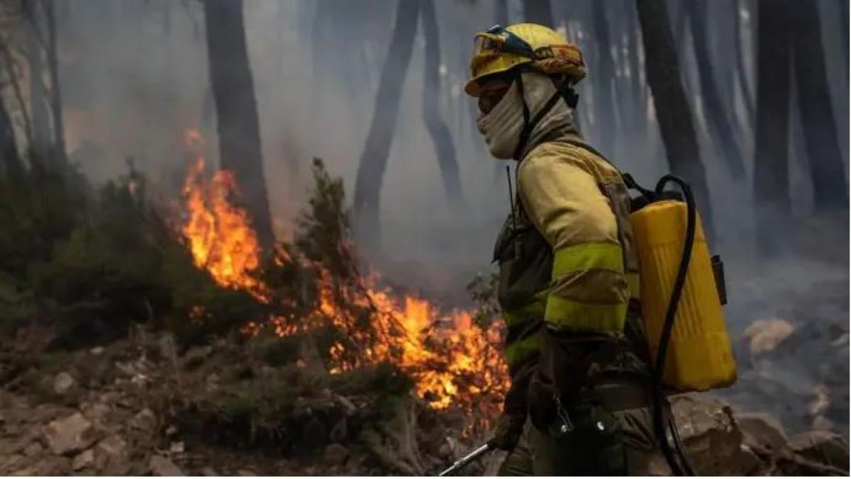 BOMBEROS