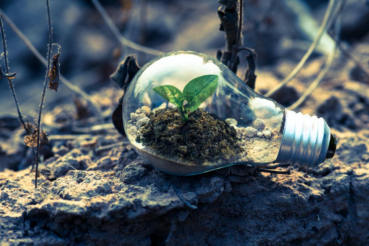 Jornadas Mitigacin y adaptacin ante el cambio climtico: retos y oportunidades