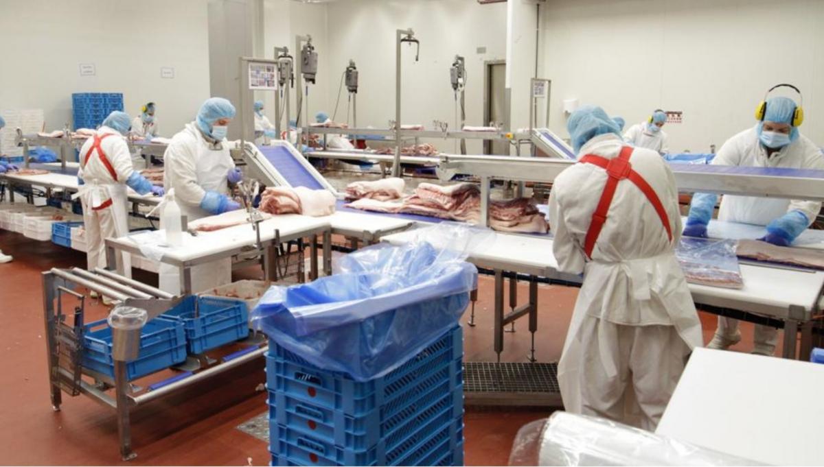 Un grupo de trabajadores de la industria crnica