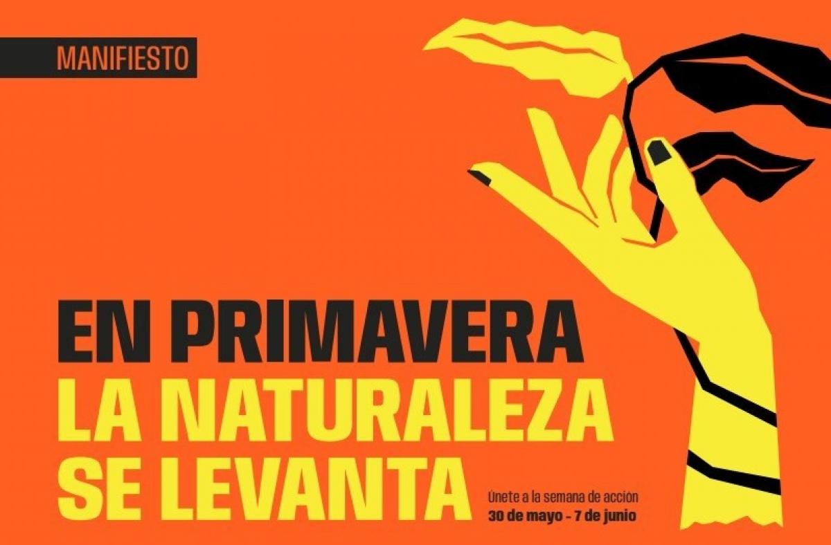 Las organizaciones firmantes sitúan la restauración ecológica en el centro de la acción política y social.