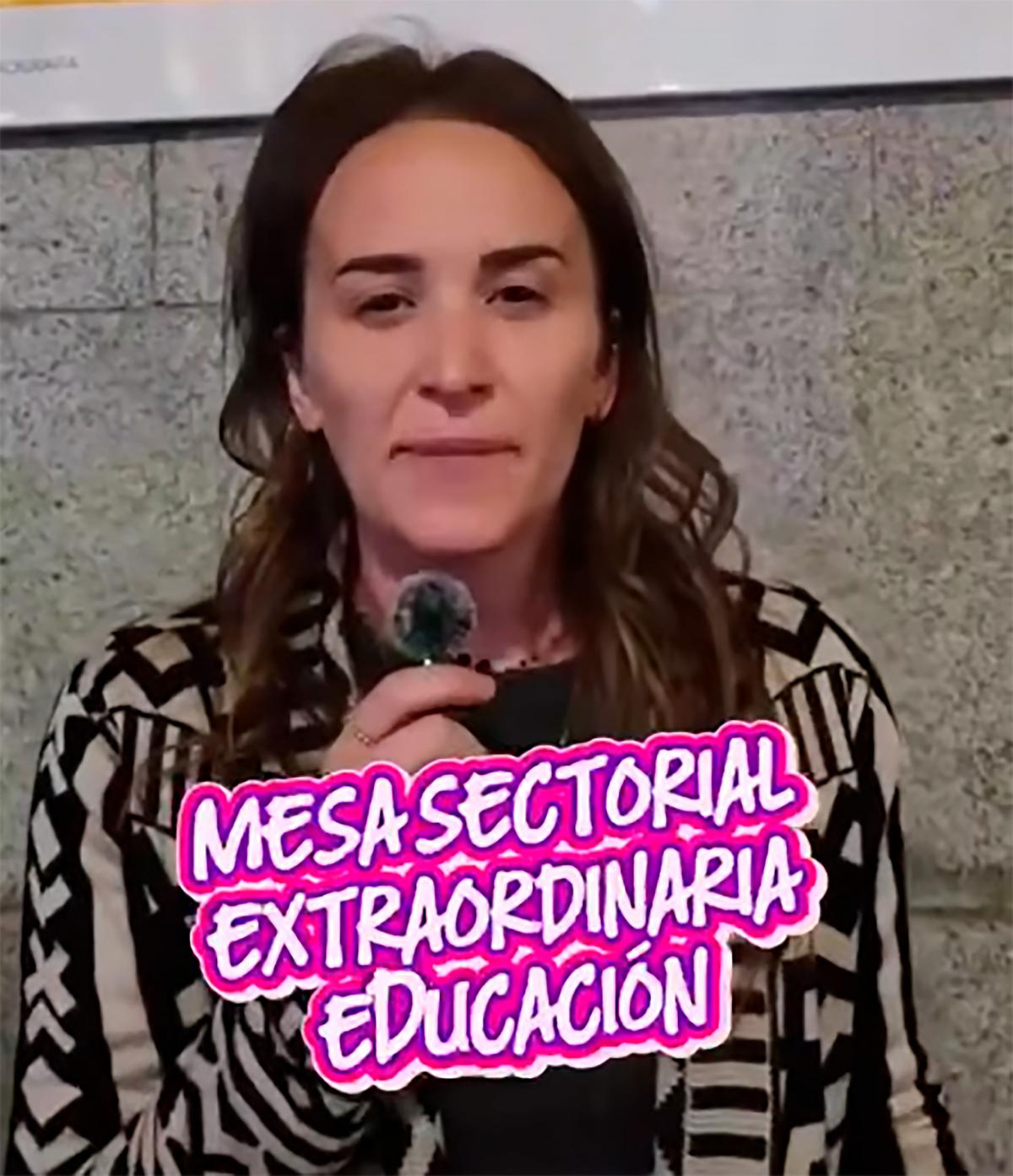 Mesa Extraordinaria de Enseñanza