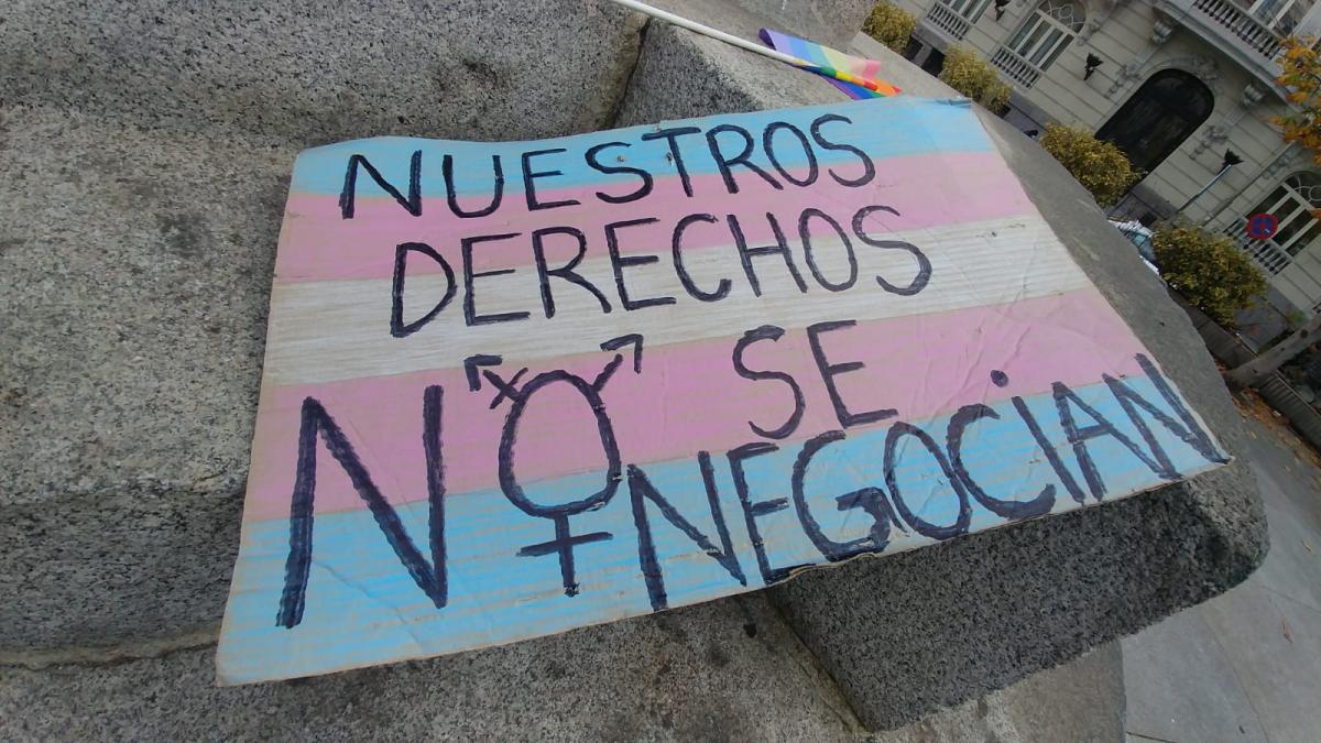 Eslogan y bandera trans: "Nuestros derechos no se negocian" (Juli�n Rebollo)