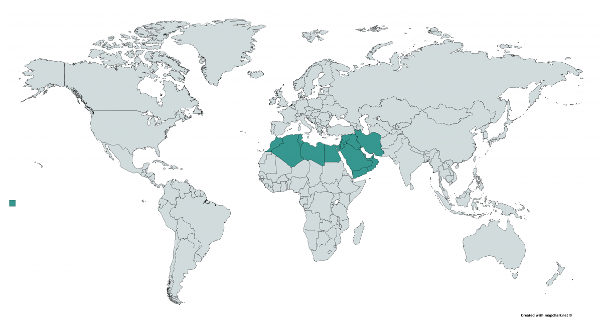 Regin MENA (Medio Oriente y Norte de frica)
