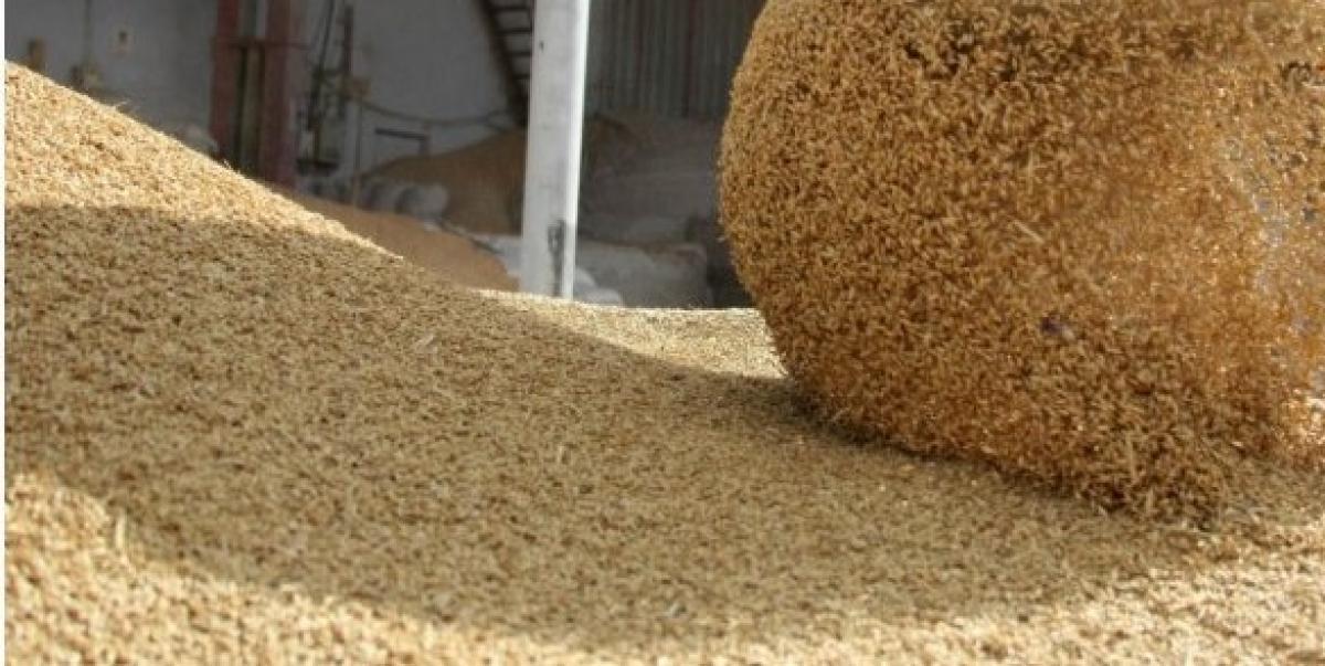 Alimentos compuestos para animales
