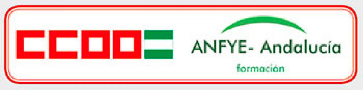 Etiqueta CCOO-ANFYE