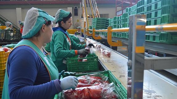 Trabajadoras del manipulado