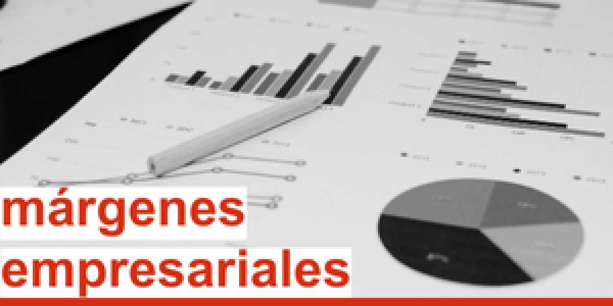 márgenes empresariales