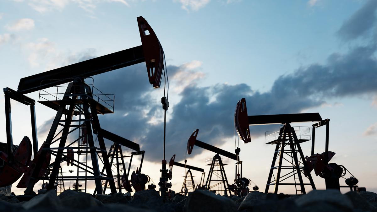 Se trata con ello de impulsar una campaña para apoyar la iniciativa internacional para aprobar un Tratado sobre los Combustibles Fósiles.