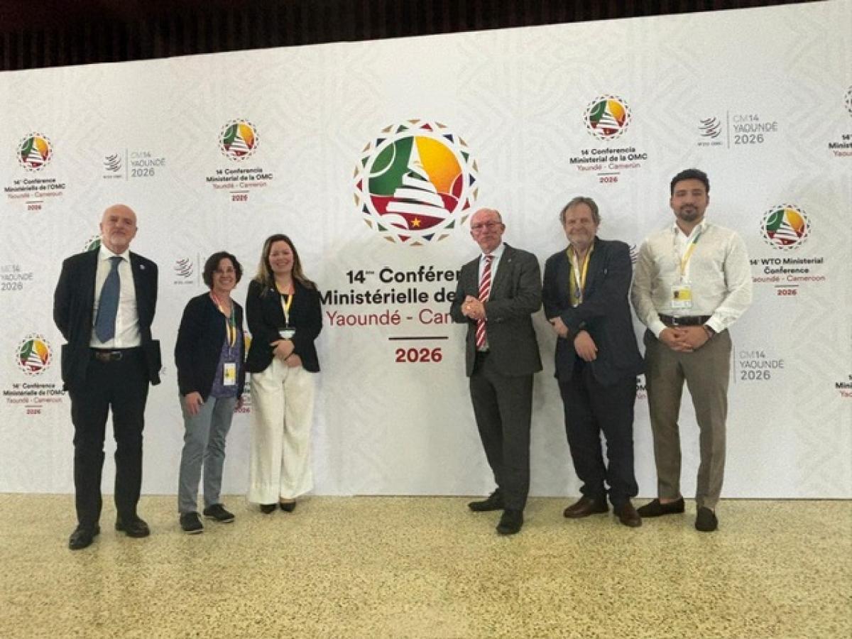 Delegación del CESE en la 14 Conferencia Ministerial de la Organización Mundial del Comercio