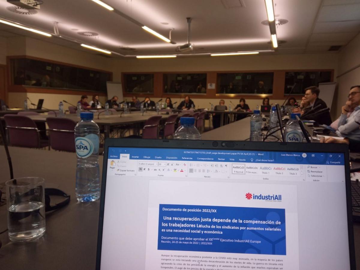 Comit de Negociacin Colectiva y Polticas Sociales de Industriall Europe