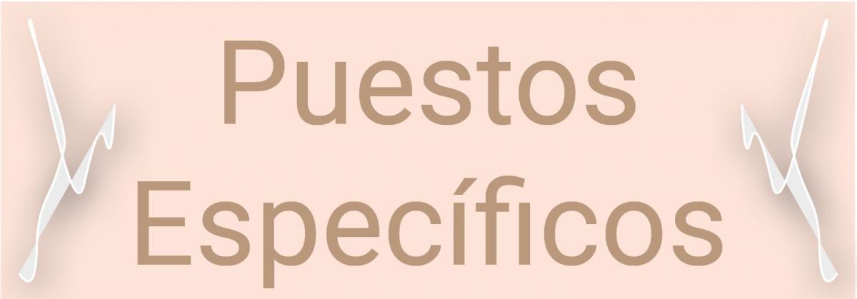 Puestos Especficos