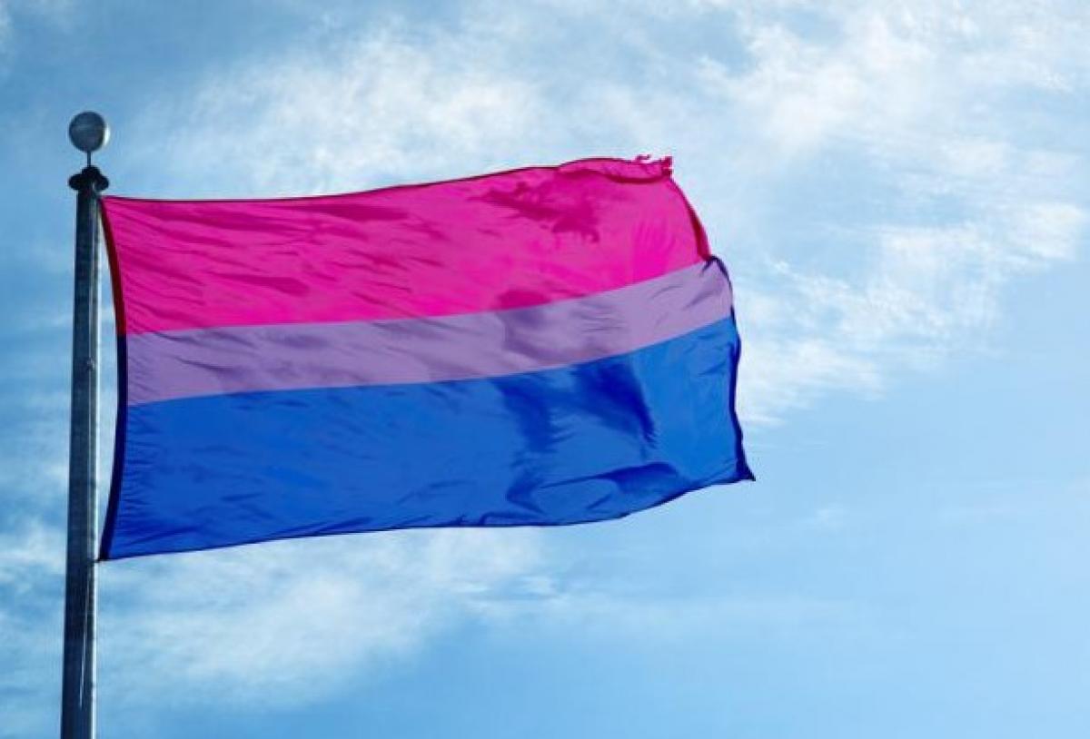 Guia medio litro carga 23 de Septiembre: Día Internacional de la Visibilidad Bisexual