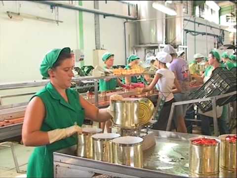 Conservas vegetales