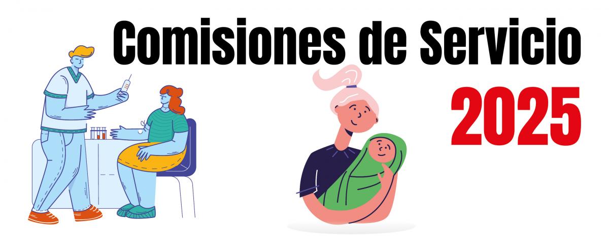 Comisiones de Servicio 2025