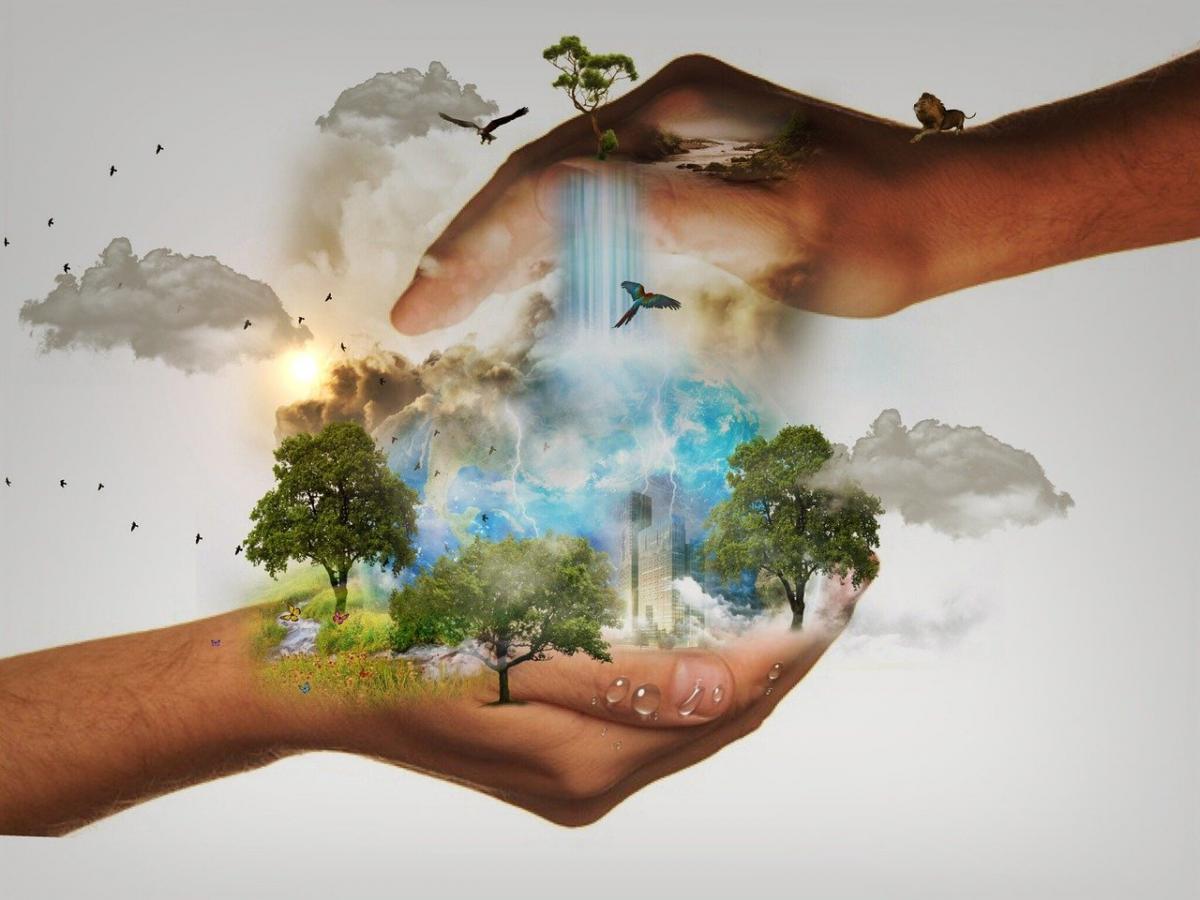 Medio ambiente