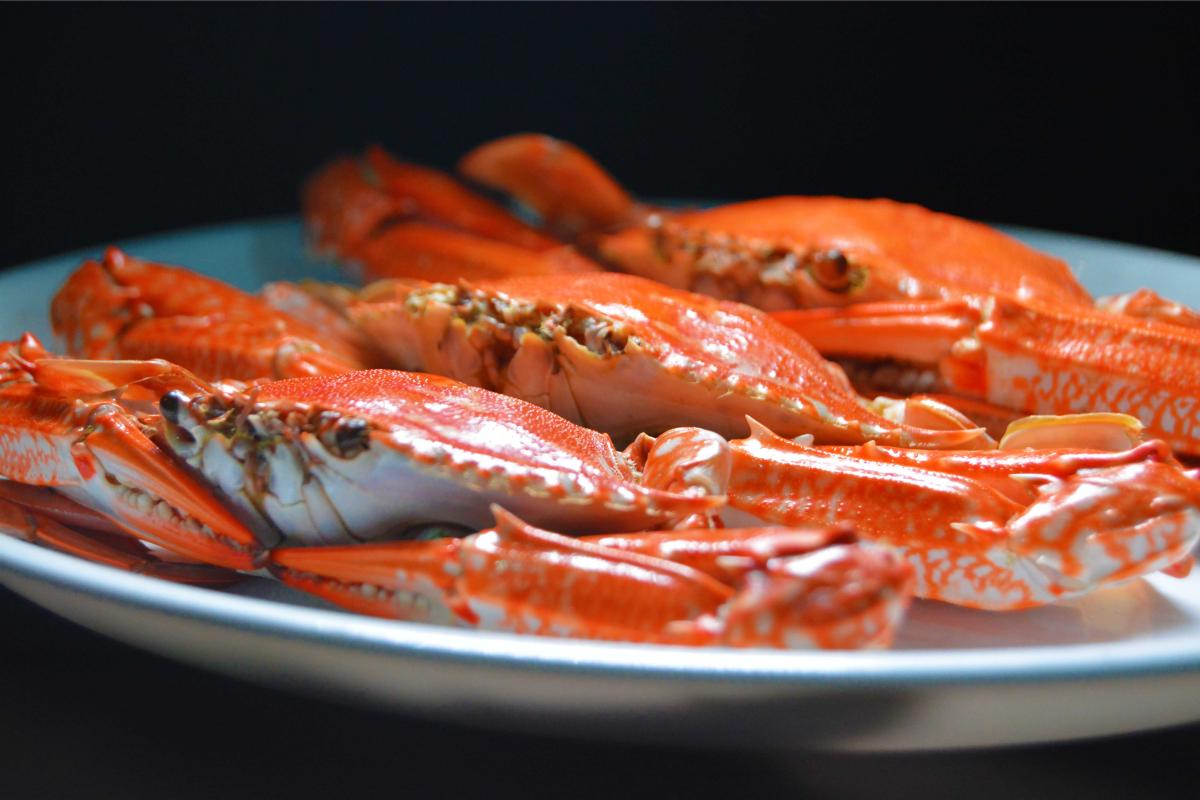 Productos de mar