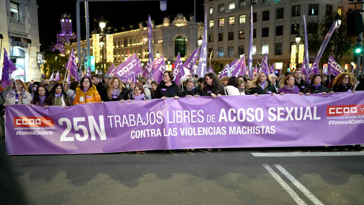 Manifestacin del 25 de noviembre, Da Internacional de la eliminacin de la violencia contra la mujer (25 de noviembre)