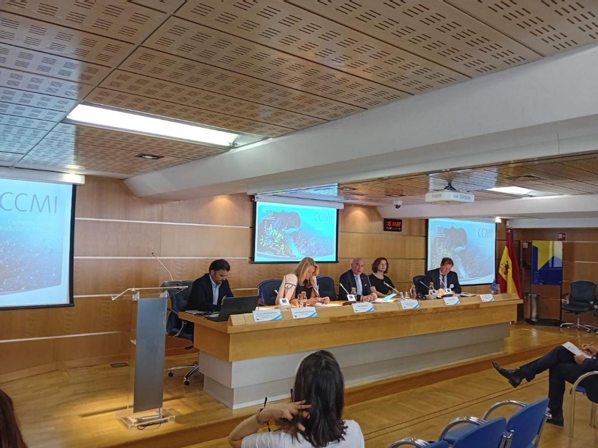 Reunin CCMI en Madrid