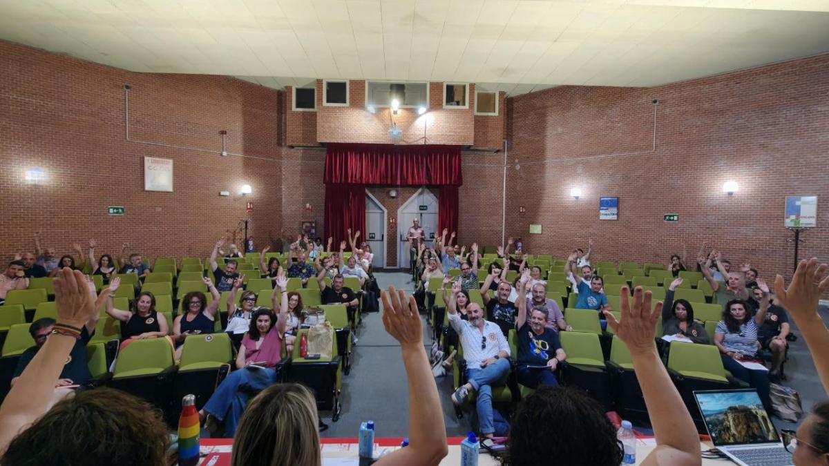 La resolucin fue aprobada por unanimidad en el Consejo Federal de CCOO Enseanza del 1 de julio